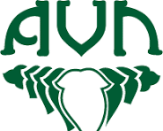 AVN Ayurveda