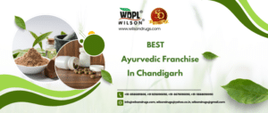Ayurvedic Franchise In Chandigarh