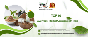 Top 10 Ayurvedic Herbal Companies In India