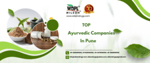 Top ayurvedic companies in pune